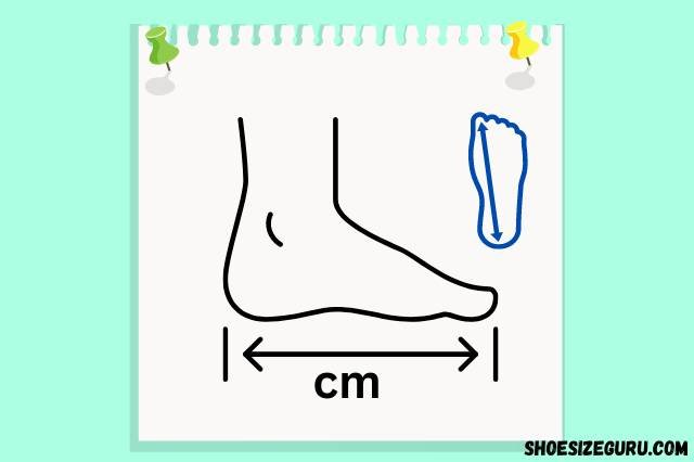 foot size length in cm