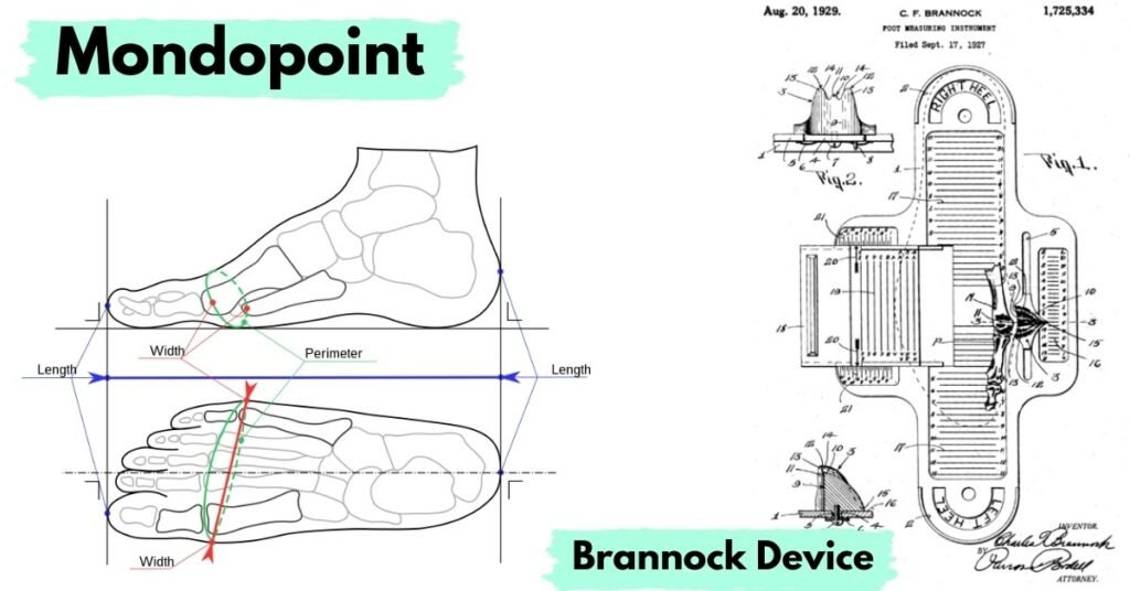 Brannock device and Mondopoint shoe sizing system